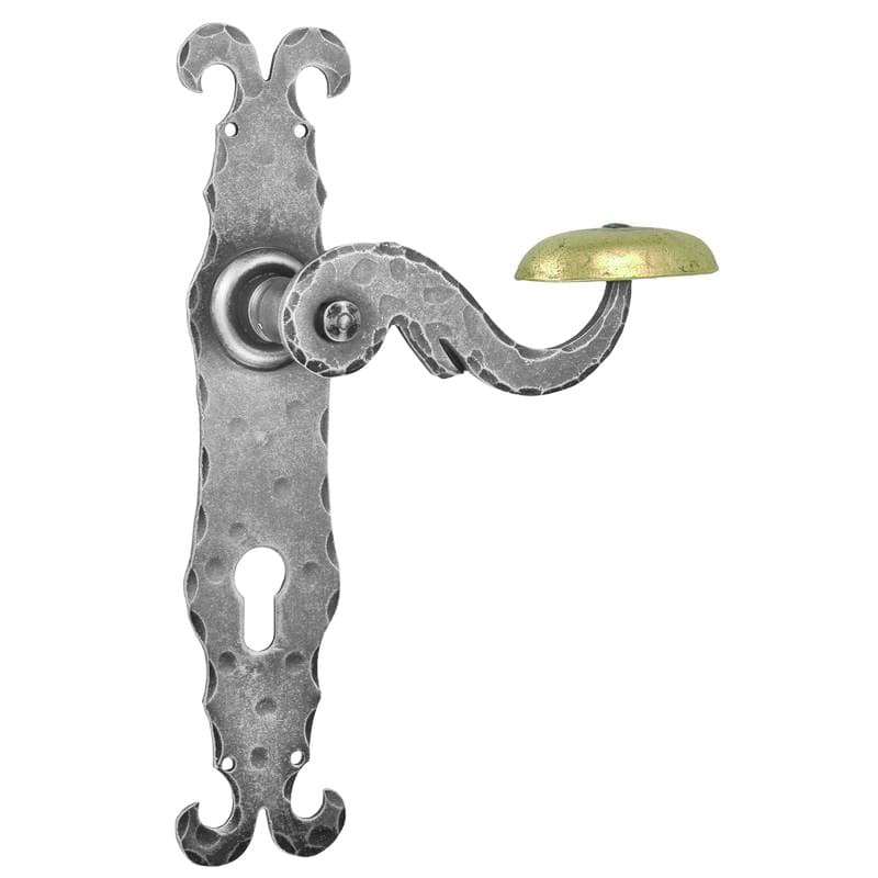 Maniglia con placca in Ferro - Immagine 1
